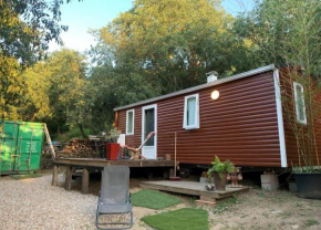 LODGE MAS Torrenaps